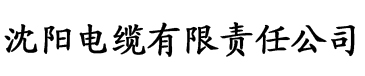 妻子被空调修理工欺负电缆厂logo